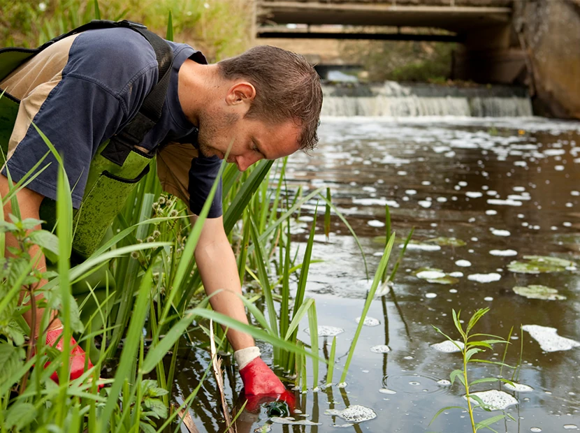 Environmental Services