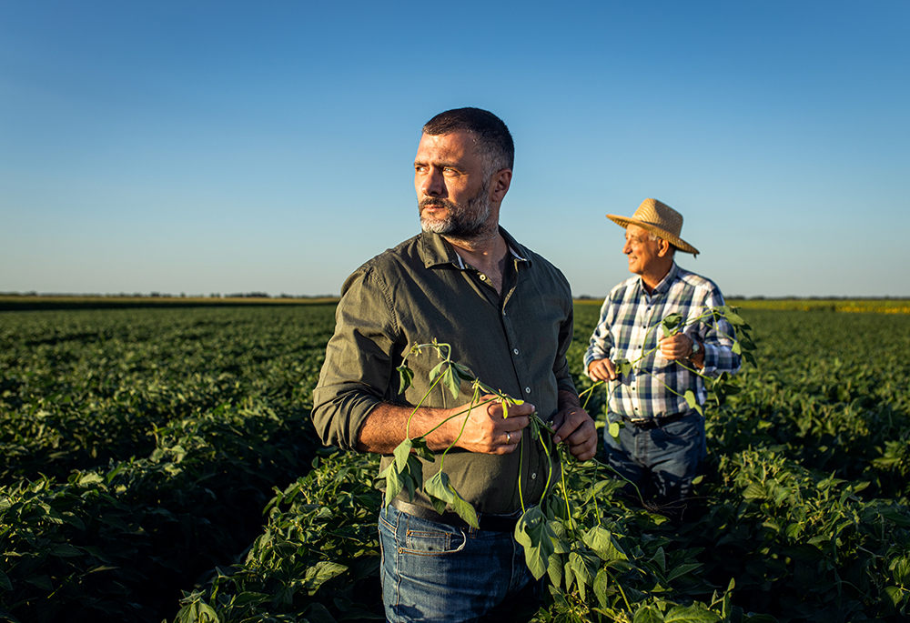 farmers field agribusiness